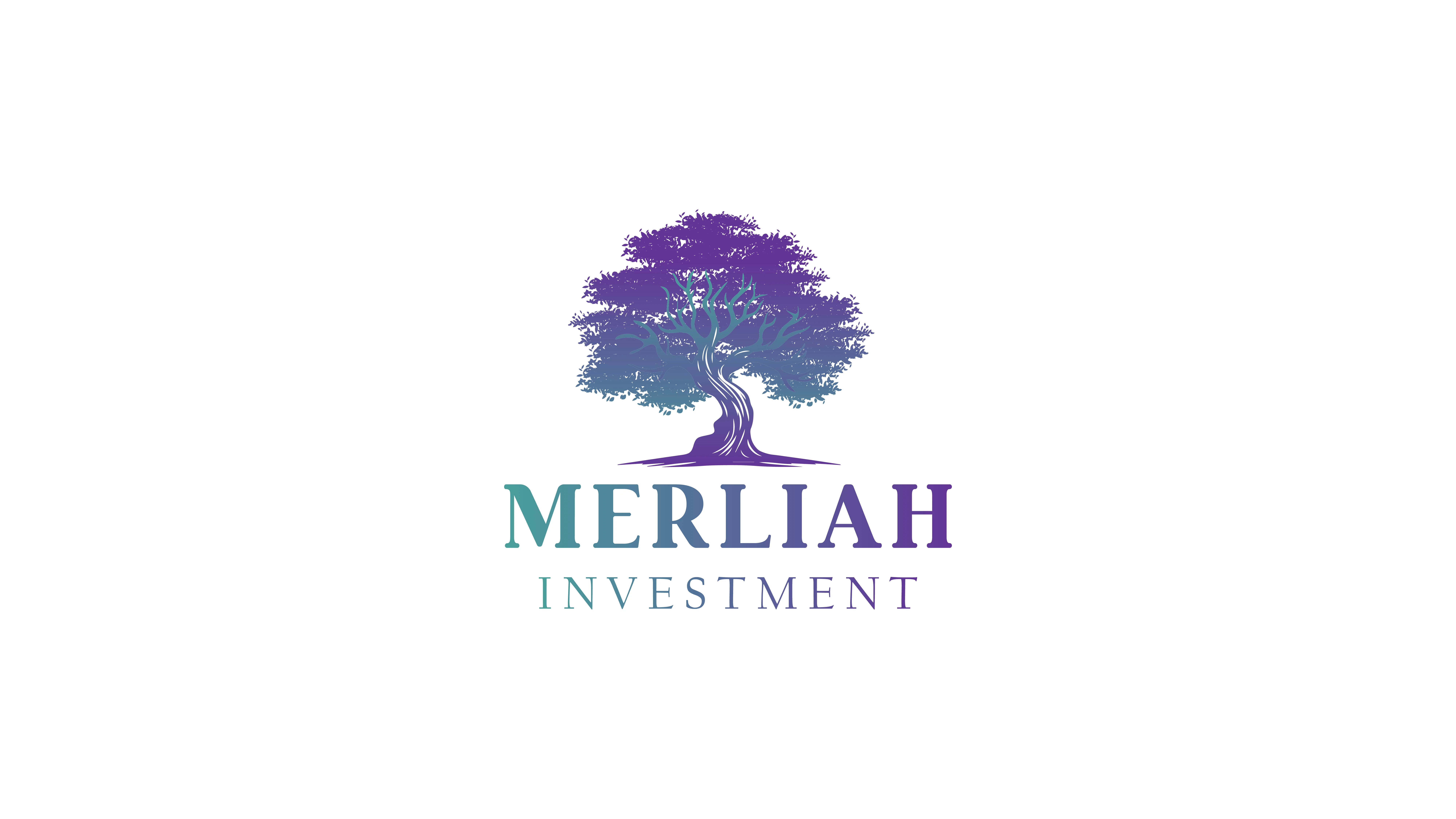 Merliah Investment logo